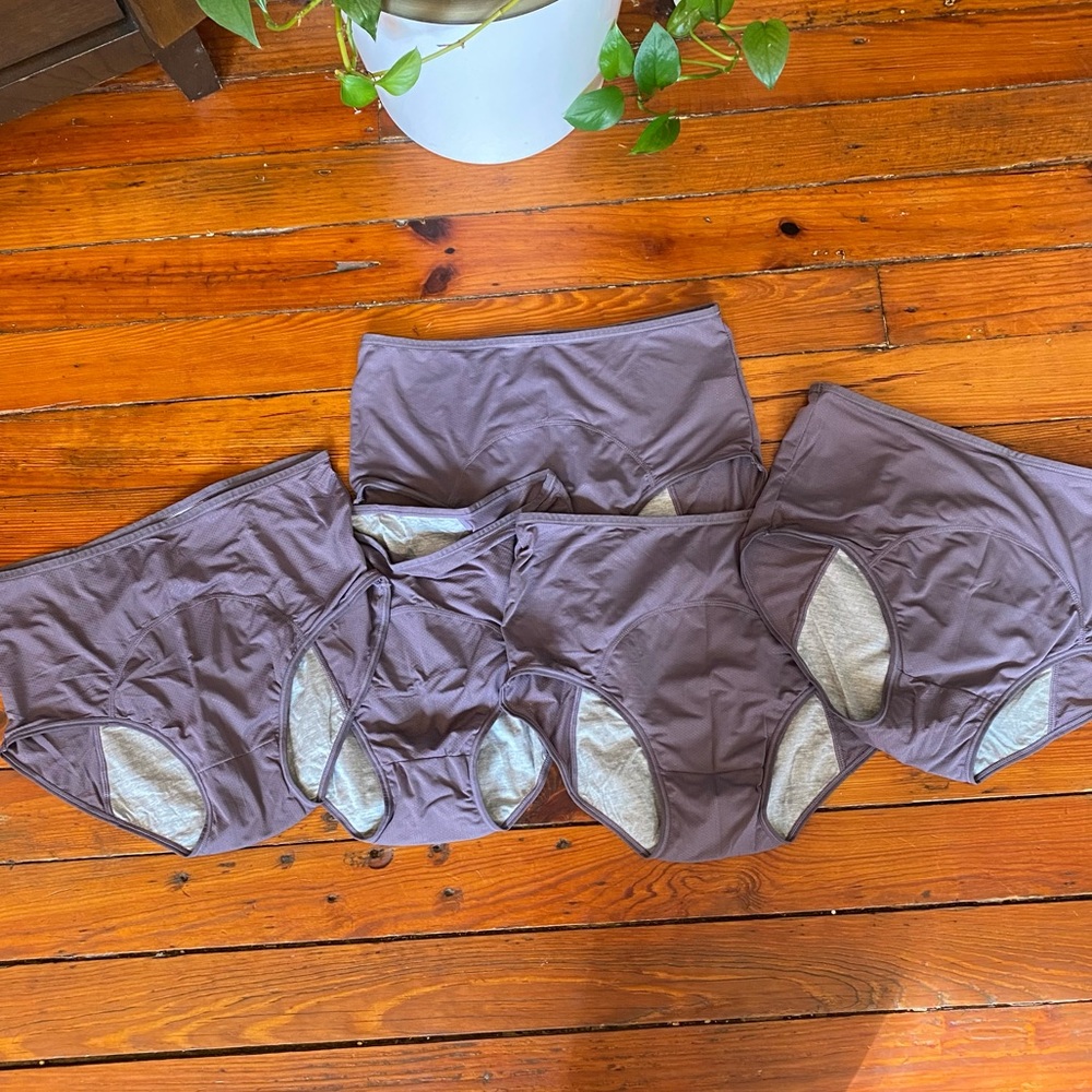 High waisted Menstrual Leak Proof Period Panties Undies Set of 5 Small or Med